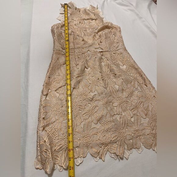 SaylorJessa Flower Appliqué Rose Gold Lace Mini Dress Size Large - Picture 12 of 13